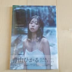 青山ひかる写真集 blueprintのサムネイル