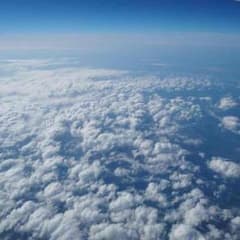 ゆーたんたんめん様 安全地帯のサムネイル