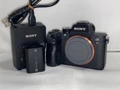 動作◎】SONY ‪α‬7RIII a7r3 ilce-7r3 ボディ 本体 - メルカリ