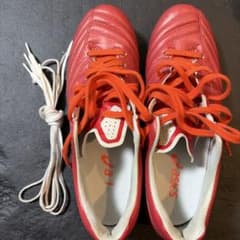 DS LIGHT X-FLY PRO 3(レッド×ホワイト)のサムネイル