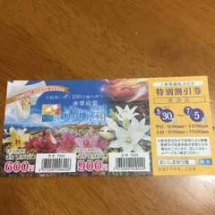 割引きチケットのサムネイル