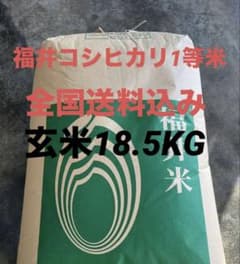 令和6年産福井コシヒカリ1等 玄米18.5kg 9.25㎏を2本送料込 低温保管