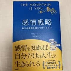 THE MOUNTAIN IS YOU 感情戦略のサムネイル