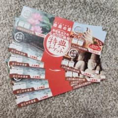 白鳳の里　淀江ゆめ温泉　入浴無料10回分　米子市ふるさと納税　特典チケットのサムネイル