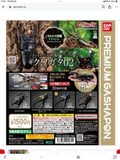 いきもの大図鑑アドバンス クワガタ02 オンライン版 オオクワガタのサムネイル