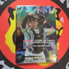 ドリームオーダー　ソフトバンク　SP甲斐のサムネイル