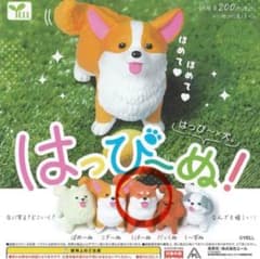 はっぴーぬ！ガチャガチャ 柴犬しば〜ぬのサムネイル