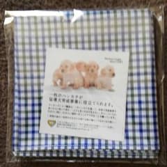 Maker's Shirt 鎌倉 ハンカチのサムネイル