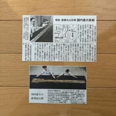 Thumbnail of 富雄丸山古墳 蛇行剣