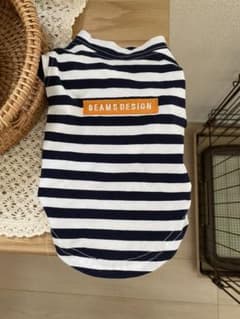 BEAMS 犬用Tシャツのサムネイル