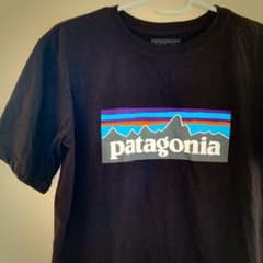 patagonia パタゴニア Tシャツのサムネイル
