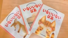 いないいないばあ 3冊セットのサムネイル