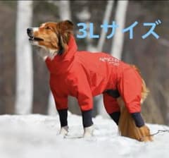 新品アルファアイコン SNOW DOG GUARD VINTAGE RED 3L - メルカリ
