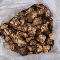 採れたて 無農薬 菊芋1㎏以上 岐阜県産のサムネイル