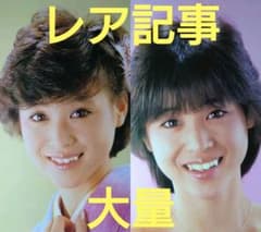 松田聖子　1980年〜1985年 レア　大量　切り抜き　ファイル　2冊　120P 松田聖子 1980年〜1985年 レア 大量 切り抜き ファイル 2冊 120P