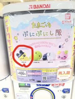 たまごっち ぷにぷに隊 まめっち ガチャのサムネイル