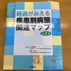 経過がみえる疾患別病態関連マップのサムネイル