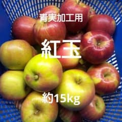 値下げ中☆9/24 特価☆新鮮 紅玉 青実加工用 酸っぱい 約15kgのサムネイル