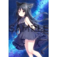 Switch 星空鉄道とシロの旅　ソフマップ特典タペストリー