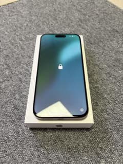 [정크] iPhone 16 Pro Max 512GB 배터리 잔 98%