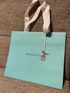 TIFFANY & CO. 水色ショッパー＆チャーム　ティファニー　ショッパーのサムネイル
