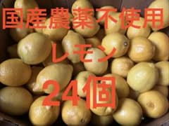 31国産 農薬不使用瀬戸内レモン 24個 - メルカリ