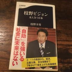枝野ビジョン 支え合う日本のサムネイル