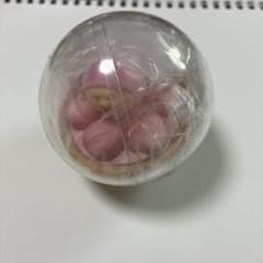 こびとづかんカプセルのサムネイル