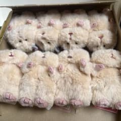 はむにぎり　八兄弟(？) まとめ売り　八匹セットのサムネイル