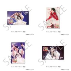 佐野愛花 生誕すきくじ フォトカードセットのサムネイル