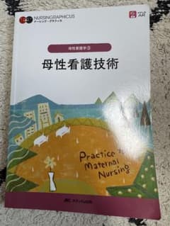 母性看護技術 = Practice to Maternal Nursingのサムネイル
