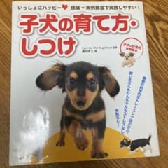 子犬の育て方・しつけ : いっしょにハッピー : 理論+実例豊富で実践しやすい…のサムネイル