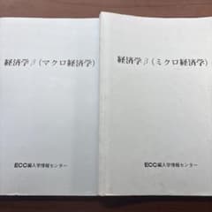 経済学β（マクロ・ミクロ経済学）2冊セットのサムネイル