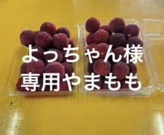 よっちゃん様専用やまもものサムネイル