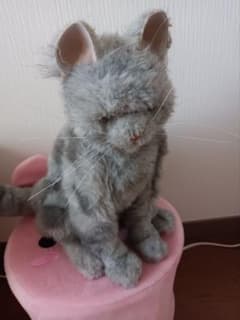 夢ねこのサムネイル