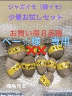 ぺー☆様専用のサムネイル