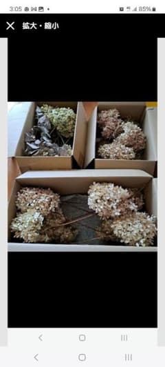 A　訳あり　ドライフラワー　退色　リサイクル段ボール３段にまとめて145サイズ 超メルカリ市期間のみ限定訳あり 退色 リサイクル段ボール3段訳あり