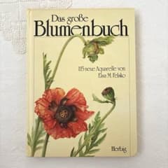 希少】大型本 Elsa Felsko ドイツの花の水彩画集 植物画115点 - メルカリ