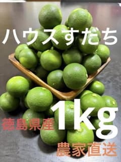 徳島県産 ハウスすだち 1kgのサムネイル