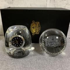 m34484041887_1.jpg?1706432973