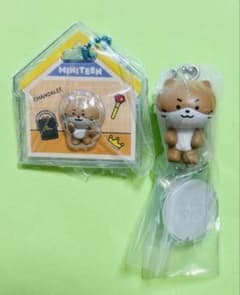 MINITEEN✳︎ディノ✳︎CHANDALEE（チャンダリ）2点セットのサムネイル
