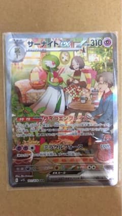 サーナイト　SARのサムネイル