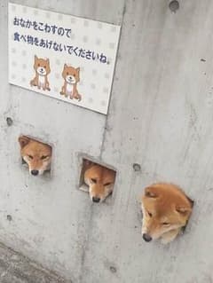 みーちゃ様専用のサムネイル