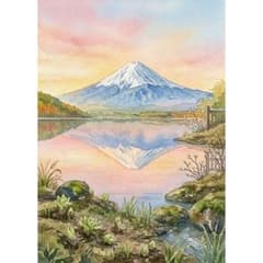 m34500623658_1.jpg?1778419173