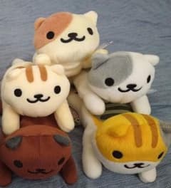 고양이 아츠메 후냥구루미 정리 판매