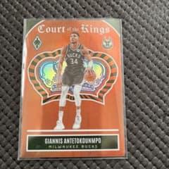 NBAカード ヤニスアデトクンポ 15/49 - メルカリ