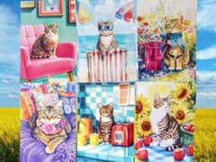 ★猫のサマーバケーション｜夏色の時間 ポストカード 6枚セット No.2のサムネイル