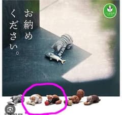 り*ん様 パンダの穴 お納めください ガチャ フィギュア 2種セットのサムネイル