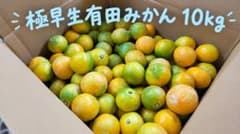 極早生有田みかん 小玉 2S 10キロのサムネイル