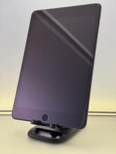 Apple iPad mini 5 256GB スペースグレー 本体のサムネイル